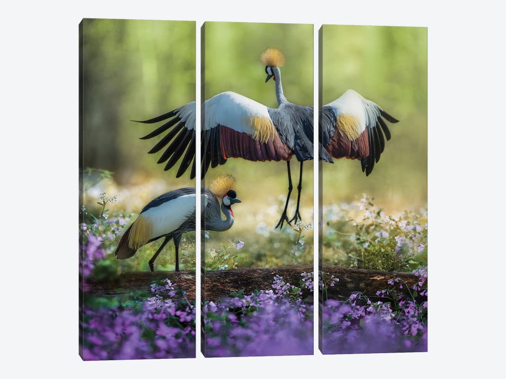 Dancing Cranes by Patsy Weingart 3-piece Canvas Art