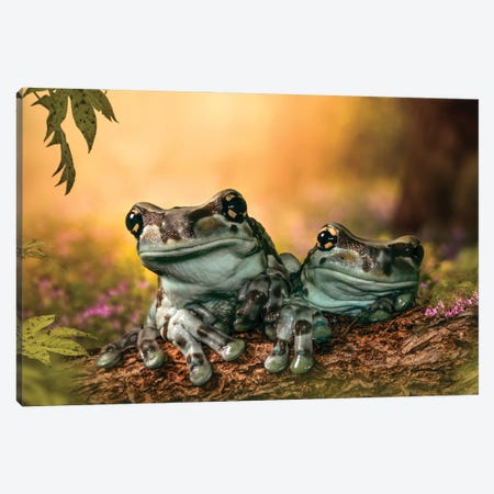 Forest Frogs Canvas Print #PWG115} by Patsy Weingart Canvas Wall Art