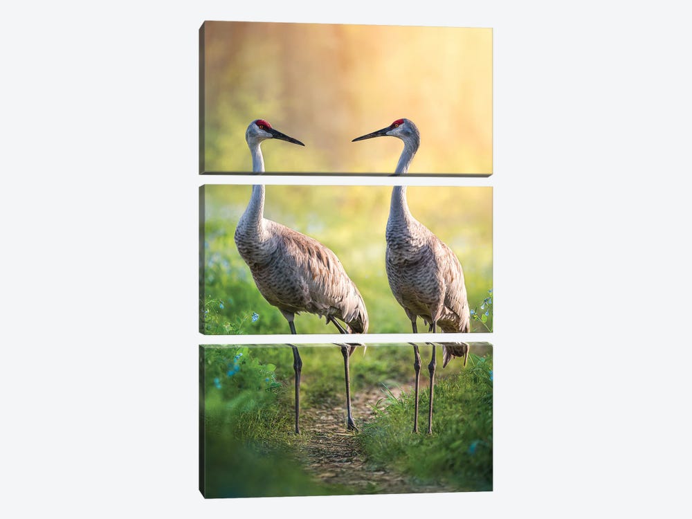 Talking Cranes by Patsy Weingart 3-piece Canvas Wall Art