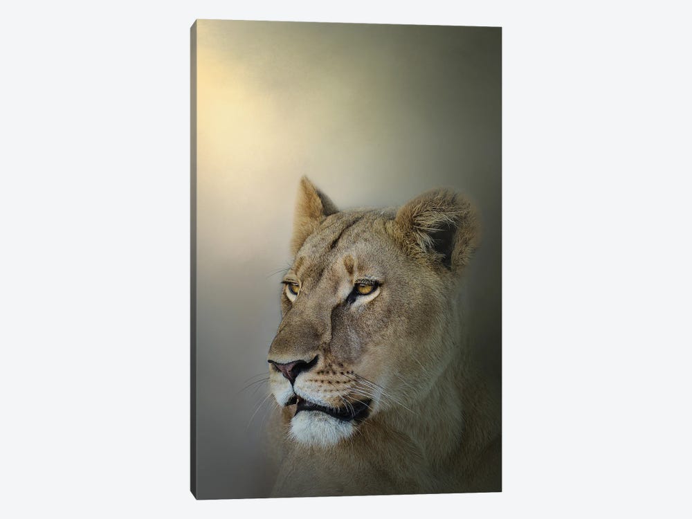 Misty Lioness by Patsy Weingart 1-piece Canvas Art