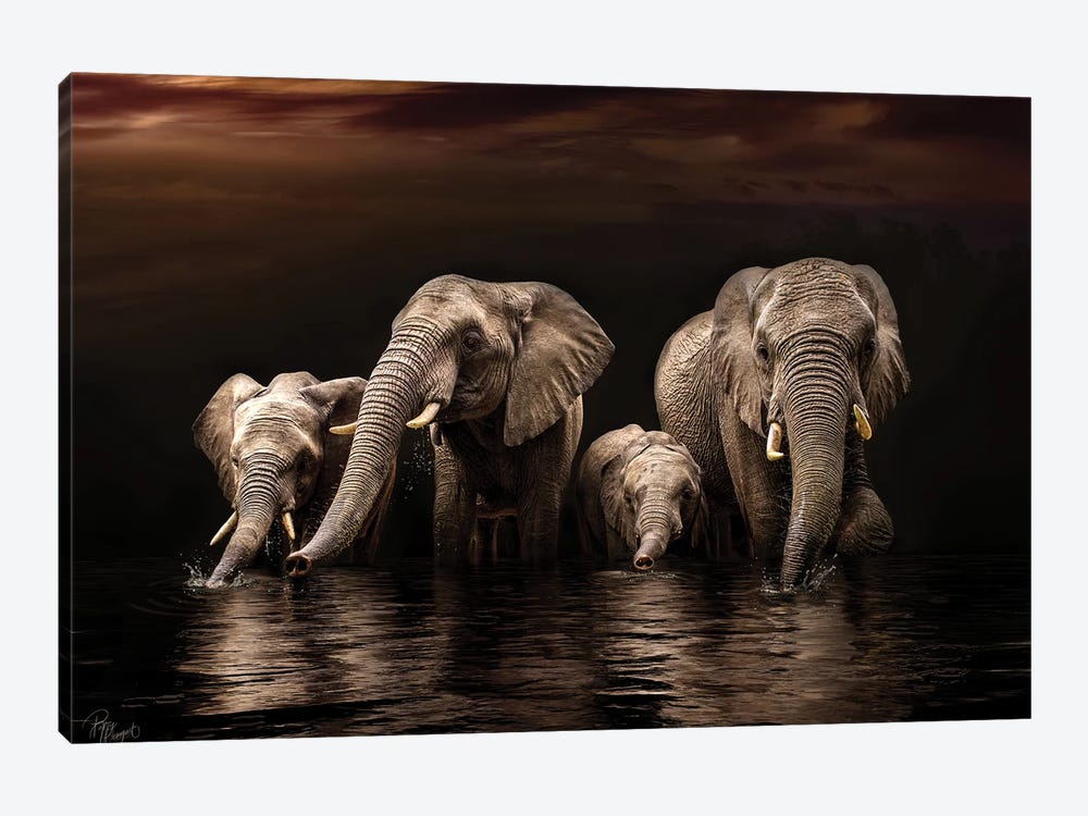Nighttime Quench by Patsy Weingart 1-piece Canvas Artwork