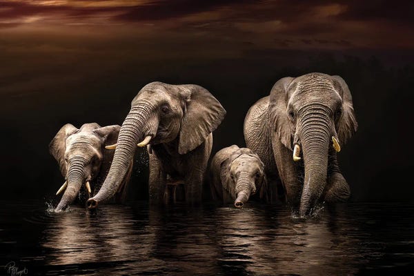 Patsy Weingart: Nighttime Quench by Patsy Weingart