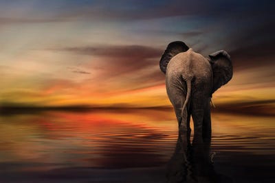 Sunset Stroll by Patsy Weingart framed wall art