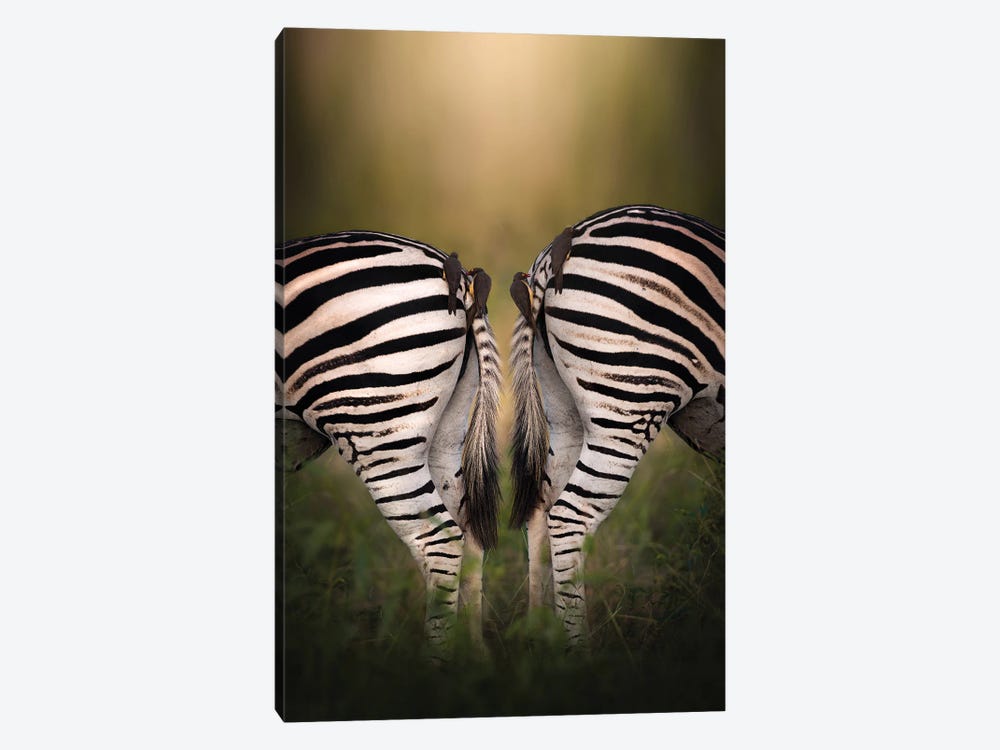 Duet by Patsy Weingart 1-piece Canvas Print