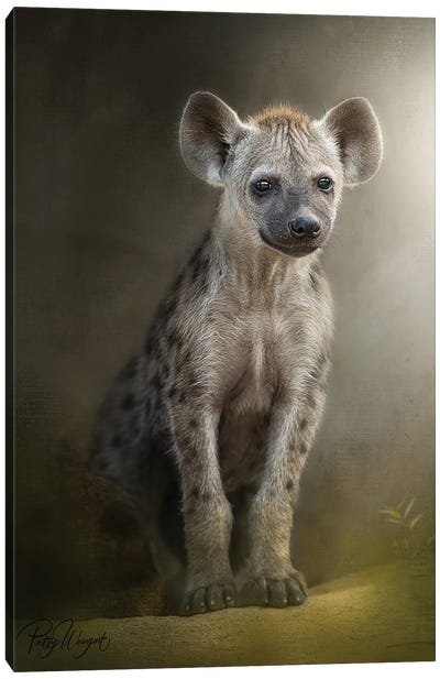 Patient Hyena Cub Canvas Art Print - Patsy Weingart