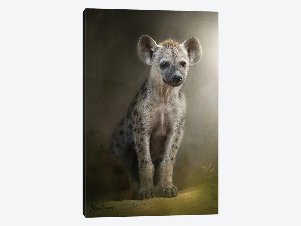 Patient Hyena Cub by Patsy Weingart 1-piece Canvas Print