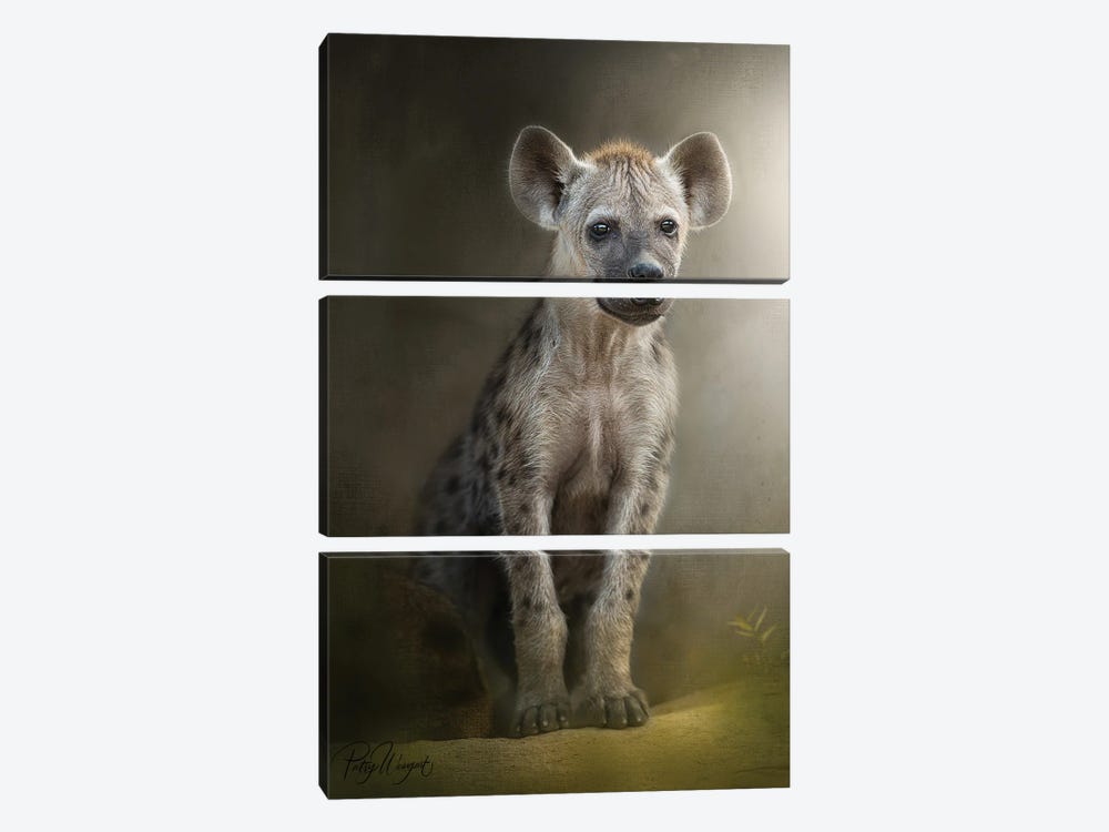 Patient Hyena Cub by Patsy Weingart 3-piece Canvas Art Print