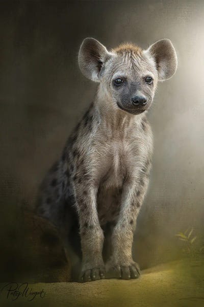 Patsy Weingart: Patient Hyena Cub by Patsy Weingart