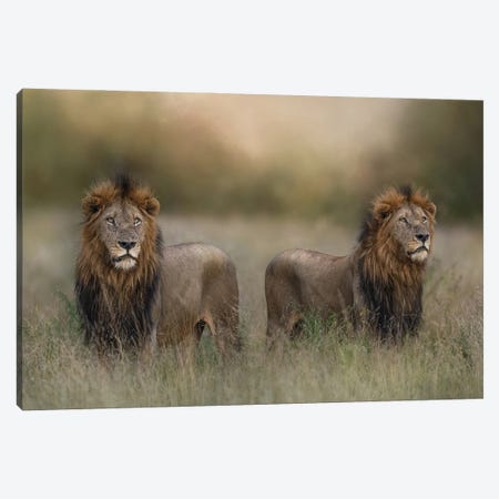 Brothers Canvas Print #PWG140} by Patsy Weingart Canvas Art