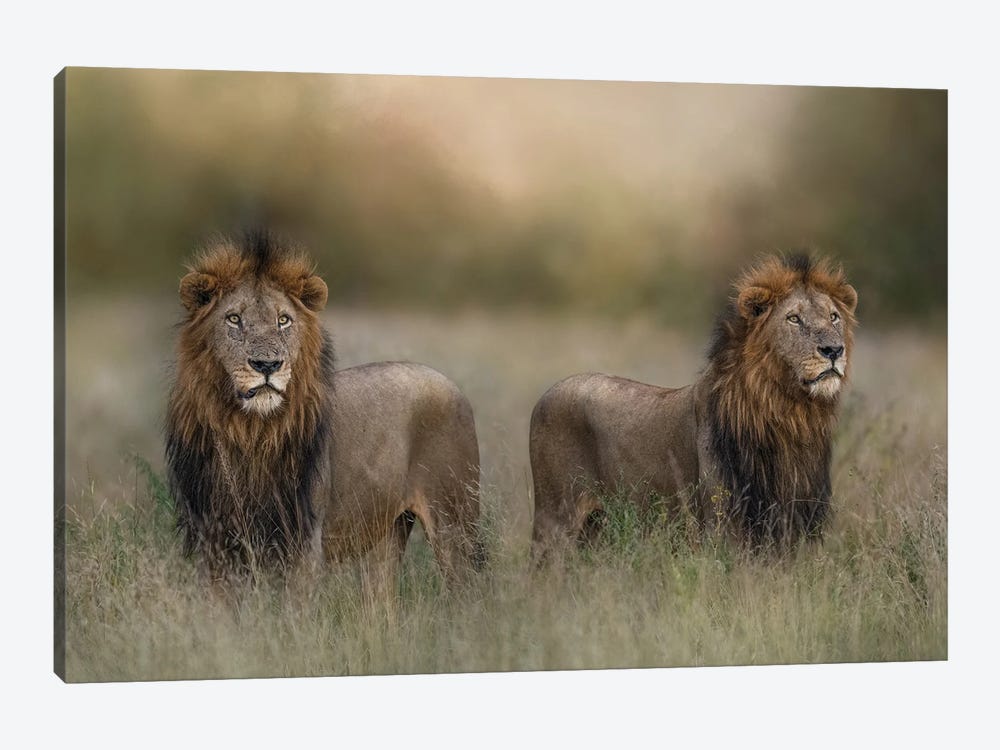 Brothers by Patsy Weingart 1-piece Art Print