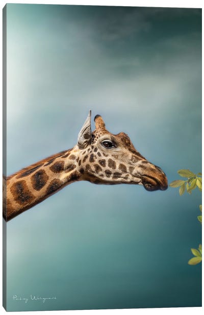 Blue Sky Giraffe Canvas Art Print - Patsy Weingart