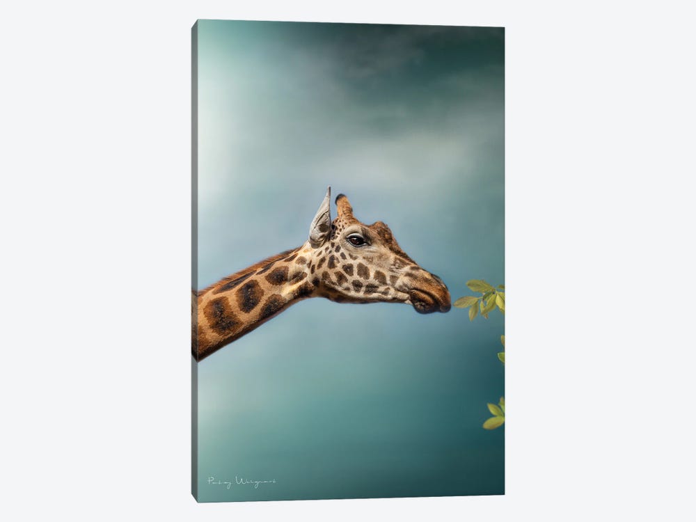 Blue Sky Giraffe by Patsy Weingart 1-piece Canvas Wall Art