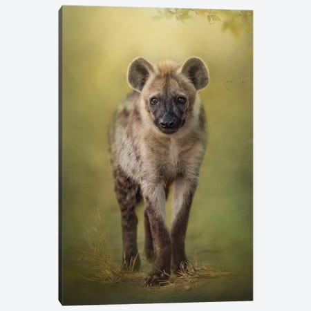 Growing Cub Canvas Print #PWG146} by Patsy Weingart Canvas Print