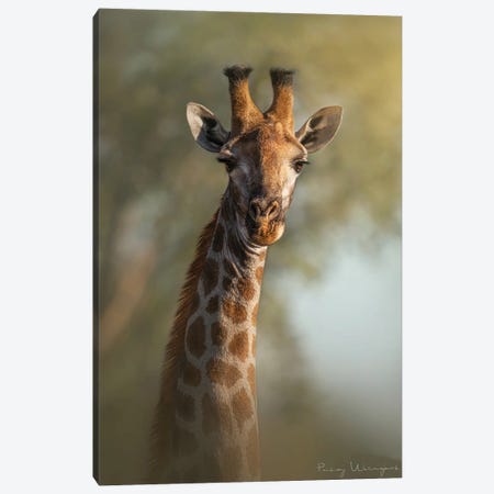 Friendly Giraffe Canvas Print #PWG148} by Patsy Weingart Canvas Wall Art
