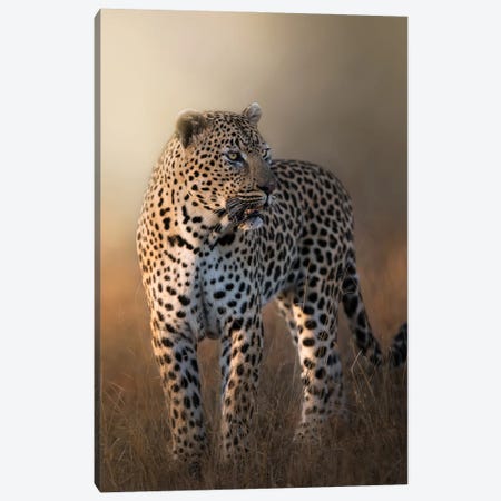 Gorgeous Leopard Canvas Print #PWG150} by Patsy Weingart Canvas Art Print