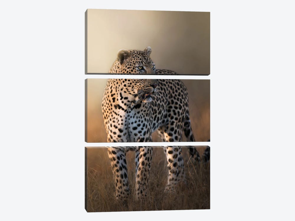 Gorgeous Leopard by Patsy Weingart 3-piece Canvas Art