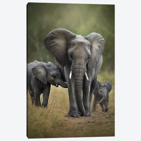 Keeping An Eye On Her Babes Canvas Print #PWG153} by Patsy Weingart Art Print