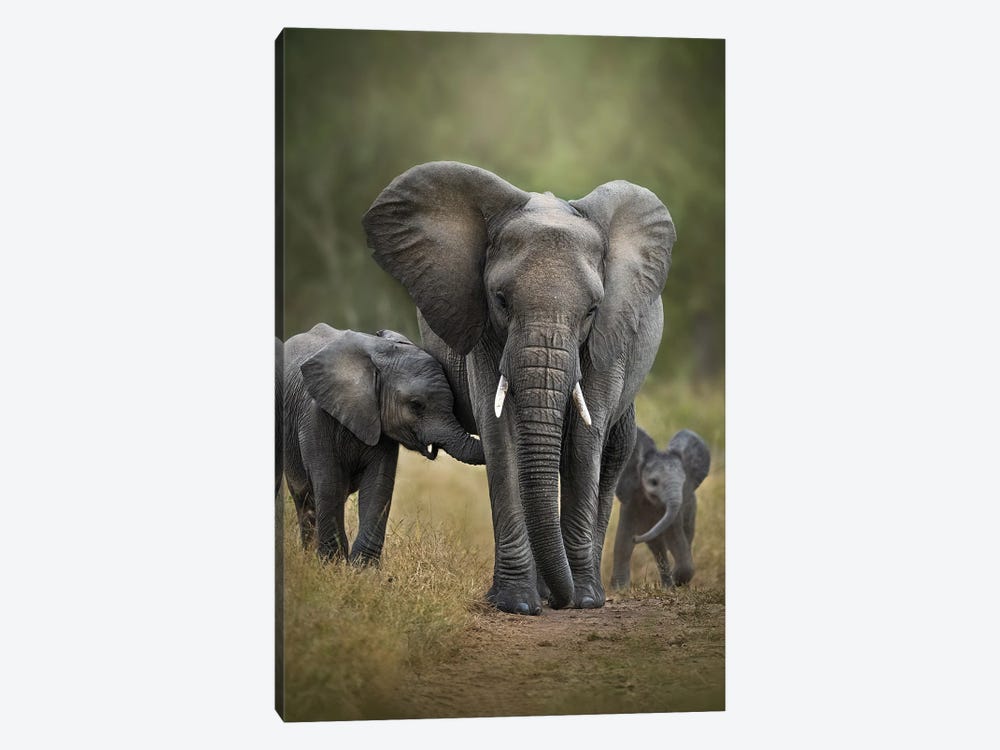 Keeping An Eye On Her Babes by Patsy Weingart 1-piece Art Print