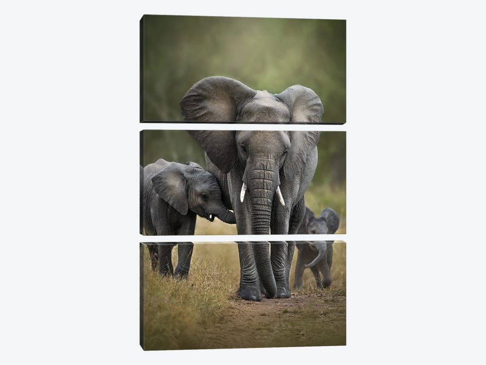 Keeping An Eye On Her Babes by Patsy Weingart 3-piece Canvas Print