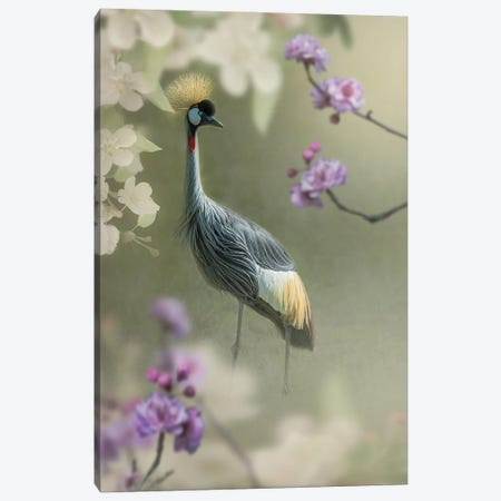 Crown Crane In The Garden Canvas Print #PWG154} by Patsy Weingart Canvas Art