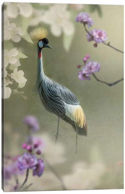 Crown Crane In The Garden Canvas Art Print - Patsy Weingart