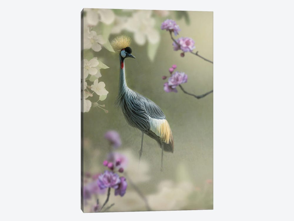 Crown Crane In The Garden by Patsy Weingart 1-piece Canvas Wall Art