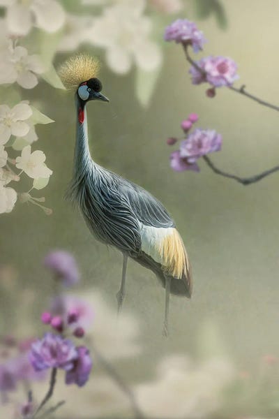 Patsy Weingart: Crown Crane In The Garden by Patsy Weingart