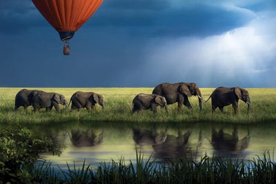 Elephants On Safari by Patsy Weingart canvas print