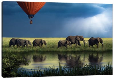Elephants On Safari Canvas Art Print - Patsy Weingart