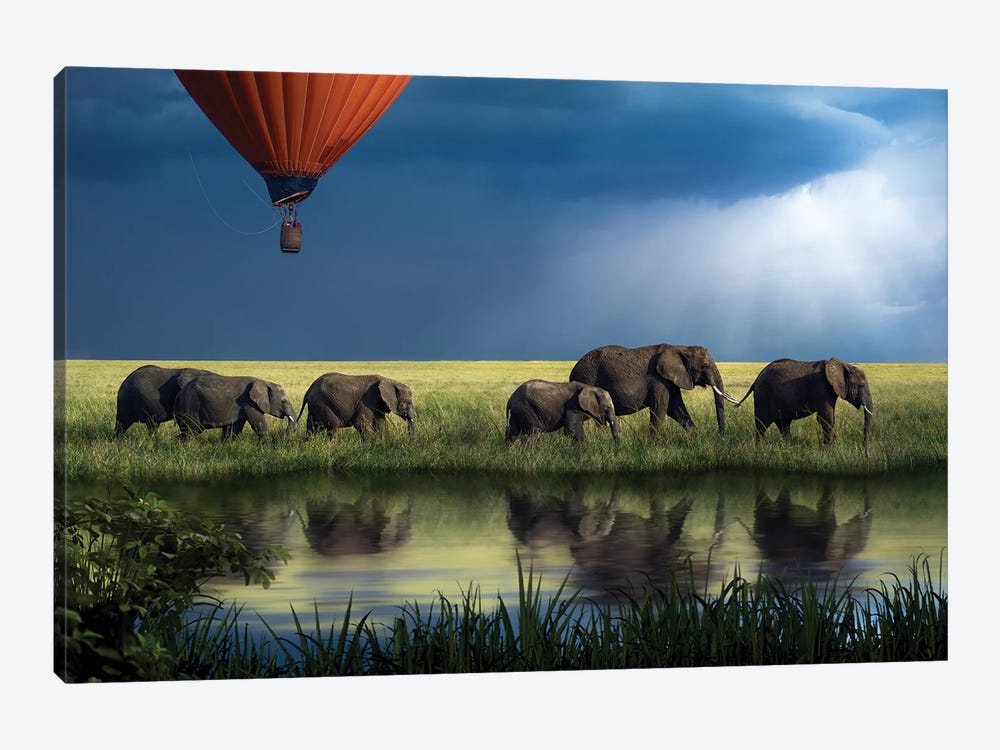 Elephants On Safari by Patsy Weingart 1-piece Canvas Wall Art