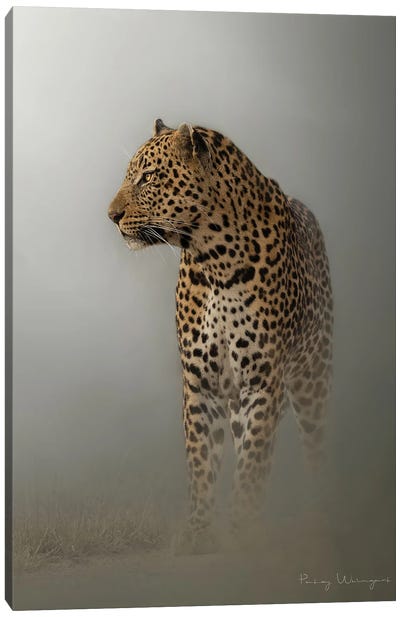 Misty Moring Leopard Canvas Art Print - Patsy Weingart