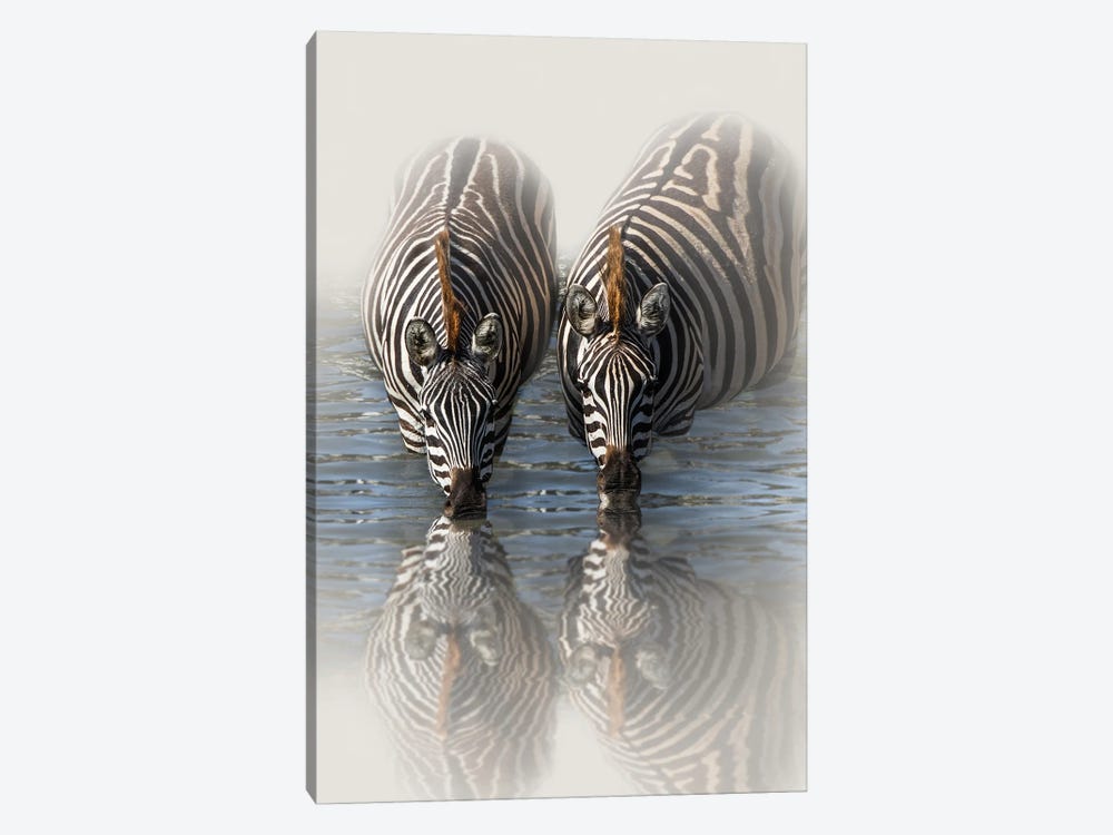 Drinking Zebras by Patsy Weingart 1-piece Canvas Artwork