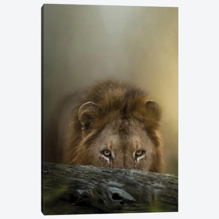 Hunting Lion King Canvas Print #PWG164} by Patsy Weingart Canvas Art Print
