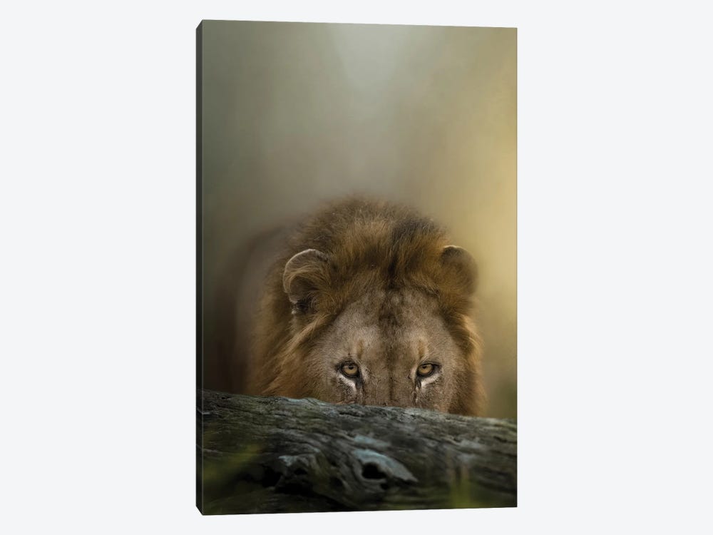 Hunting Lion King by Patsy Weingart 1-piece Art Print
