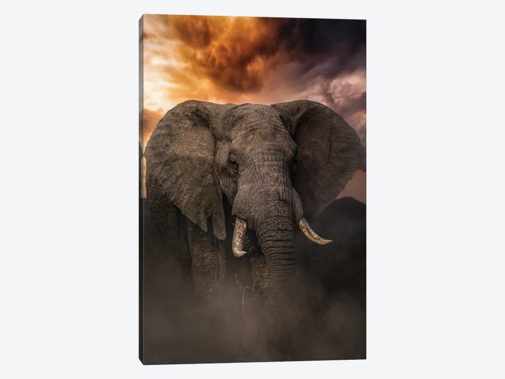 Bull At Sunset by Patsy Weingart 1-piece Canvas Print