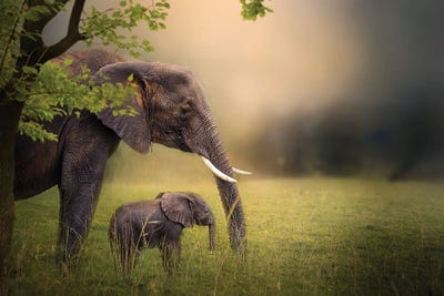 Framed By Momma by Patsy Weingart framed wall art