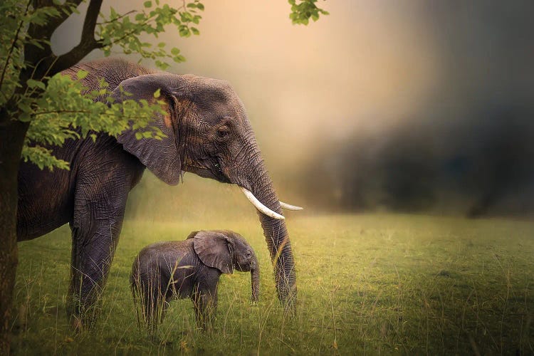 Framed By Momma by Patsy Weingart wall art