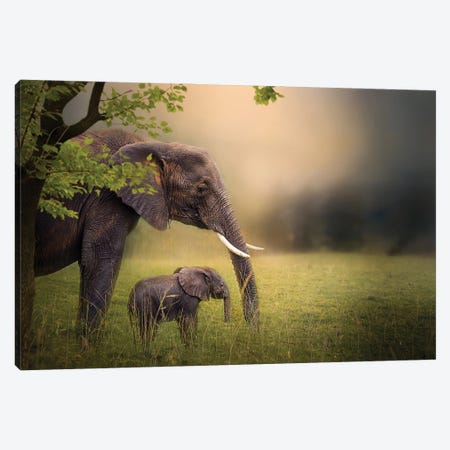 Framed By Momma Canvas Print #PWG169} by Patsy Weingart Canvas Art