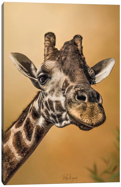 Yellow Giraffe Canvas Art Print - Photogenic Animals