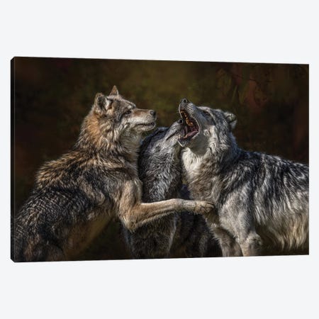 Montana Wolf Pack Canvas Print #PWG172} by Patsy Weingart Canvas Art Print