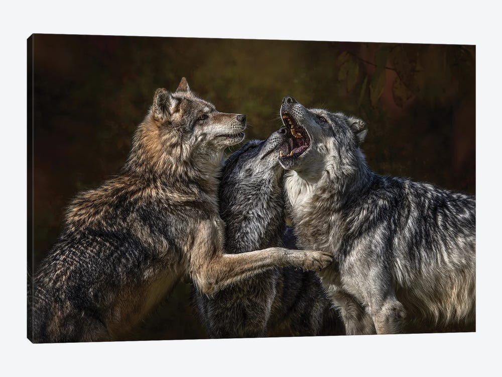 Montana Wolf Pack by Patsy Weingart 1-piece Canvas Artwork