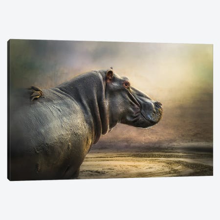 Hippo Pool Canvas Print #PWG173} by Patsy Weingart Canvas Print
