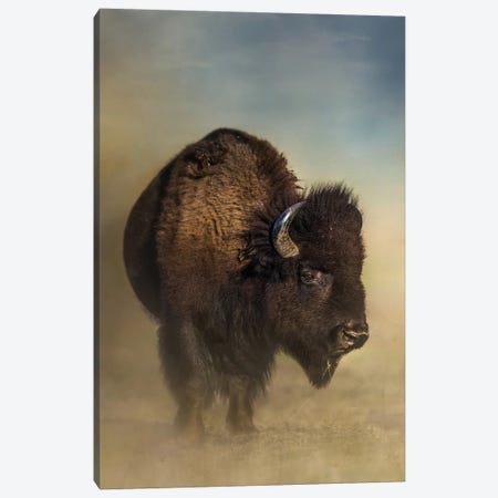 Dusty Bison Canvas Print #PWG177} by Patsy Weingart Canvas Artwork