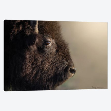 Up Close Bison Canvas Print #PWG178} by Patsy Weingart Art Print