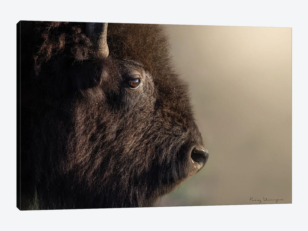 Up Close Bison by Patsy Weingart 1-piece Canvas Art