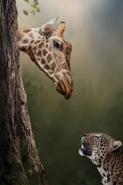 Leopards: Nice To Meet You by Patsy Weingart