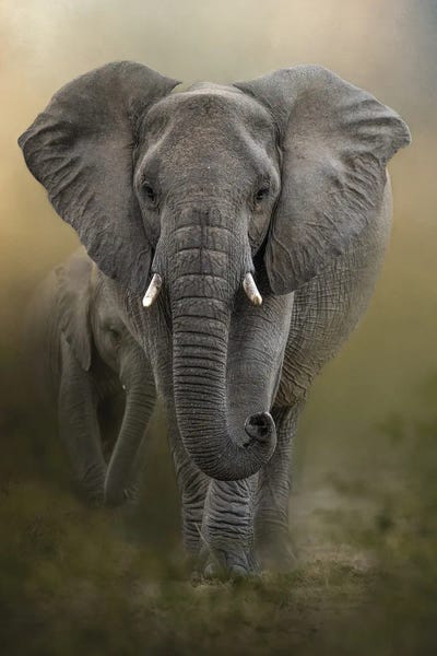 Leading The Way by Patsy Weingart framed wall art