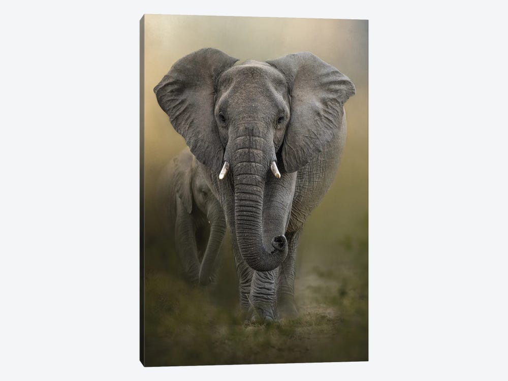 Leading The Way by Patsy Weingart 1-piece Canvas Art Print