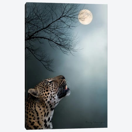 Light Of The Moon Canvas Print #PWG18} by Patsy Weingart Art Print