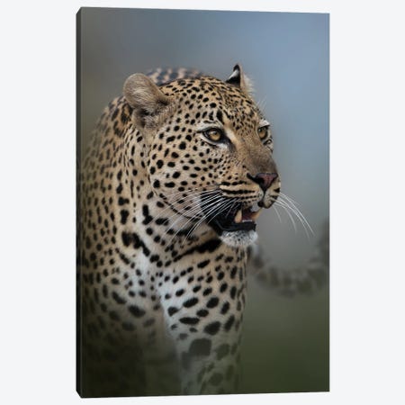 The Flat Rock Male Canvas Print #PWG20} by Patsy Weingart Canvas Wall Art